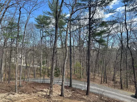 Other - 5 Pin Oak Ln, Basye, VA 22810 photo 4 of 4