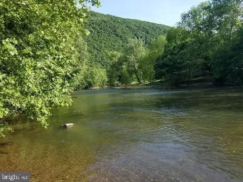 Bear Paw, Maurertown, VA 22644