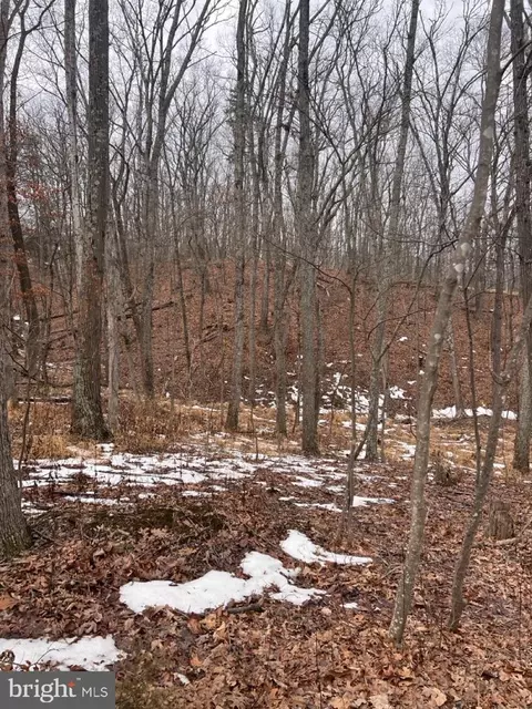 Hummingbird Lane, Star Tannery, VA 22654