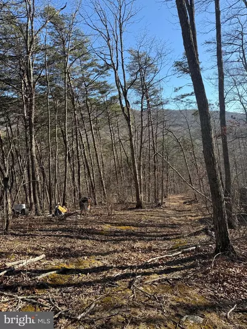 lot55 Moreland Gap, New Market, VA 22844
