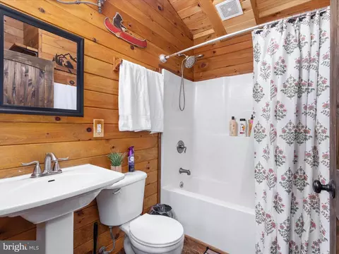 Bath - 193 Ash Ln, Mount Jackson, VA 22842 photo 5 of 5