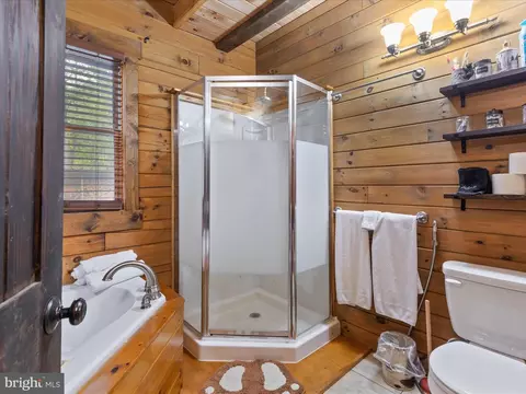 Bath - 193 Ash Ln, Mount Jackson, VA 22842 photo 4 of 5