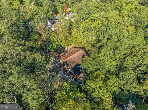 View/Area - 193 Ash Ln, Mount Jackson, VA 22842 photo 6 of 7