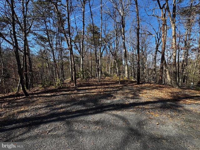 36 Ewells Ridge Road, Basye, VA 22810