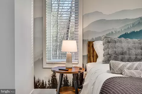 Bedroom - 1355 Greenview Dr, Basye, VA 22810 photo 6 of 23