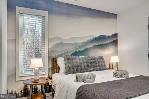 Bedroom - 1355 Greenview Dr, Basye, VA 22810 photo 4 of 23