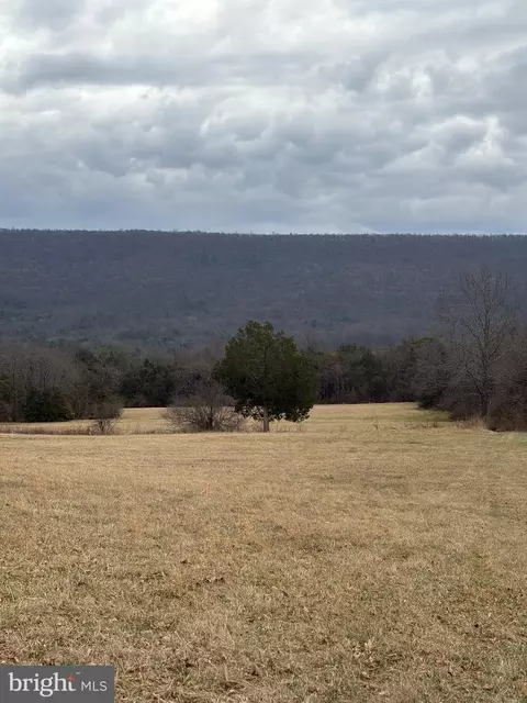 Zepp Road, Maurertown, VA 22644