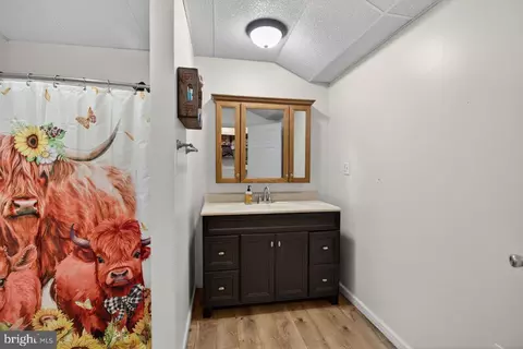 Bath - 8570 S Middle Rd, Mount Jackson, VA 22842 photo 3 of 6