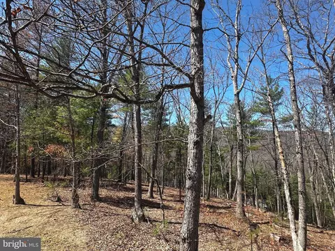 Other - 393 Spitz Ln #99, Basye, VA 22810 photo 22 of 26