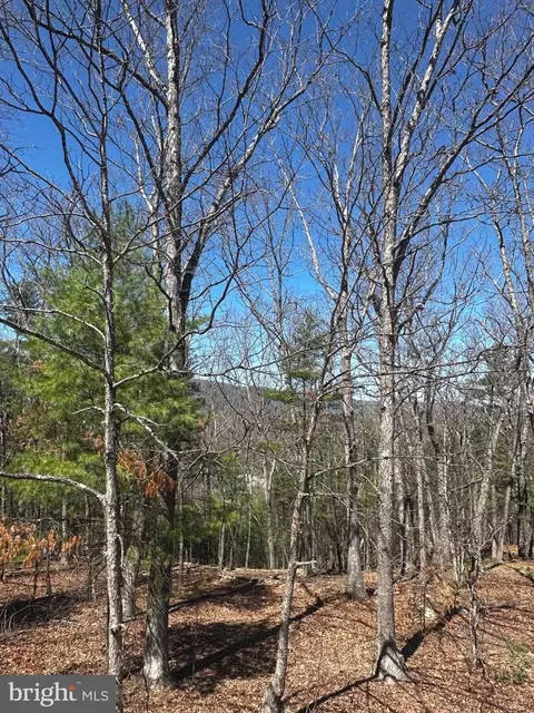 Other - 393 Spitz Ln #99, Basye, VA 22810 photo 14 of 26