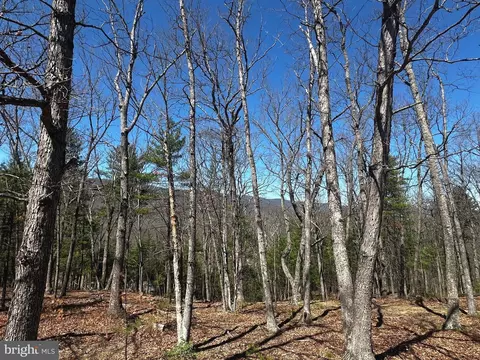 Other - 393 Spitz Ln #99, Basye, VA 22810 photo 24 of 26