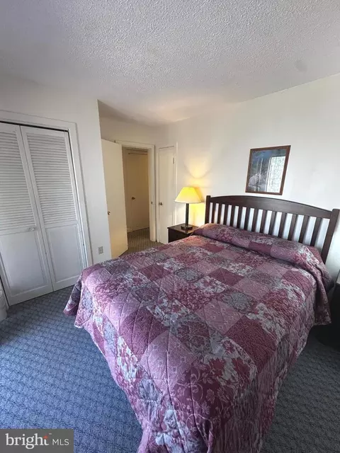 Bedroom - 393 Spitz Ln #99, Basye, VA 22810 photo 15 of 16
