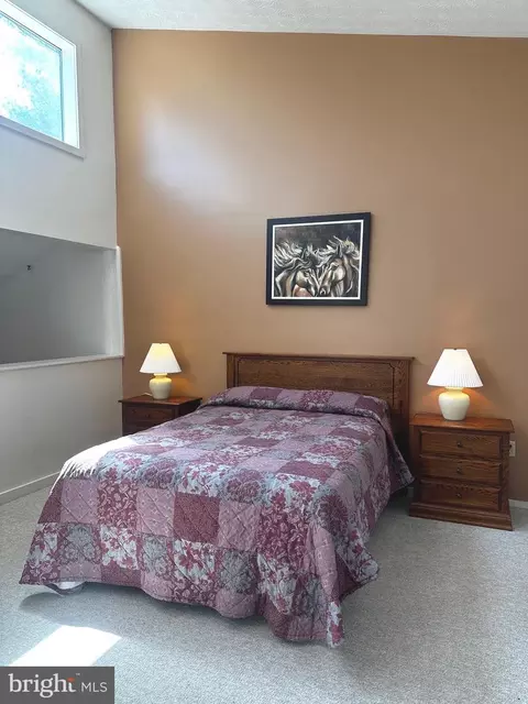 Bedroom - 393 Spitz Ln #99, Basye, VA 22810 photo 13 of 16