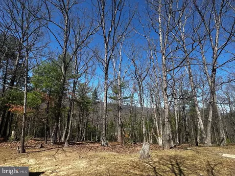 Other - 393 Spitz Ln #99, Basye, VA 22810 photo 25 of 26