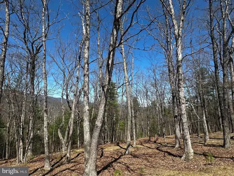 Other - 393 Spitz Ln #99, Basye, VA 22810 photo 23 of 26