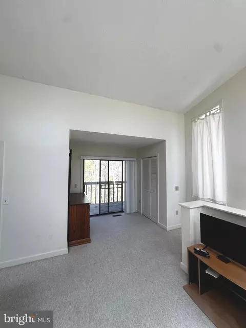 Other - 393 Spitz Ln #99, Basye, VA 22810 photo 13 of 26
