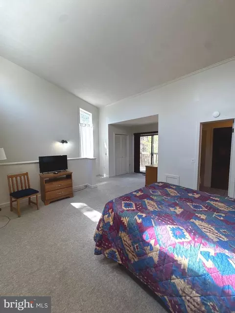 Bedroom - 393 Spitz Ln #99, Basye, VA 22810 photo 7 of 16