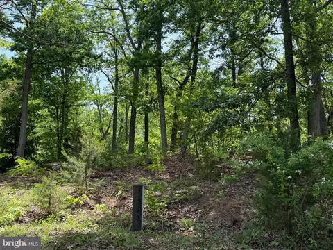 Other - 549 Mountain Laurel Dr, Mount Jackson, VA 22842 photo 19 of 21