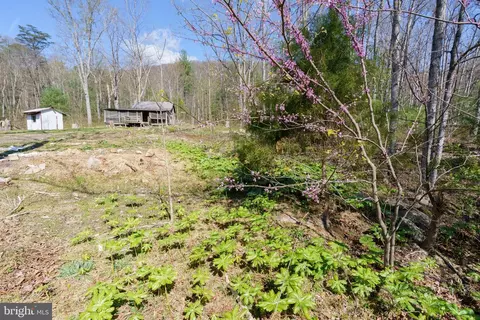 3336 Wolf Gap Rd, Edinburg, VA 22824