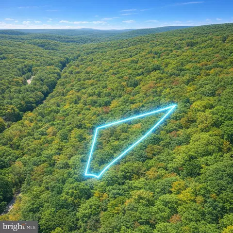 lot170 Forest Ridge Trl, Fort Valley, VA 22652