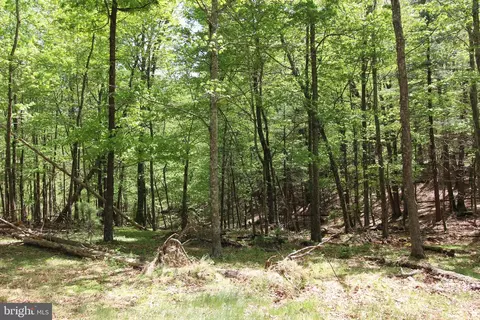 Tanglewood, Orkney Springs, VA 22845