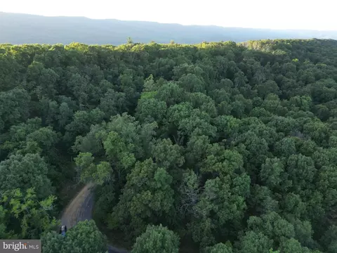 tbd Rolly Rd, Mount Jackson, VA 22842 photo 6