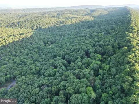 tbd Rolly Rd, Mount Jackson, VA 22842 photo 8