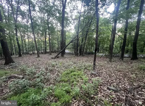 tbd Rolly Rd, Mount Jackson, VA 22842 photo 12