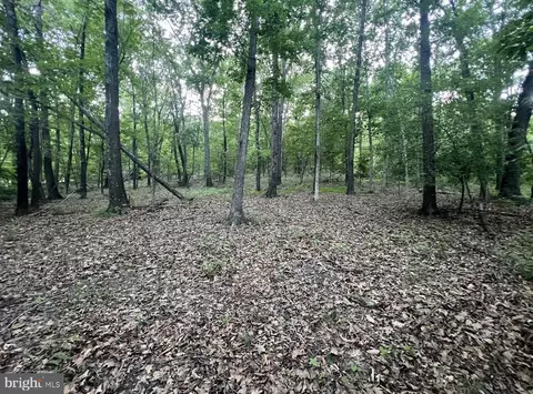 tbd Rolly Rd, Mount Jackson, VA 22842 photo 11