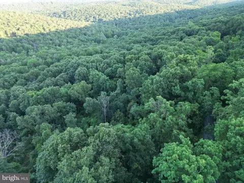 tbd Rolly Rd, Mount Jackson, VA 22842 photo 7
