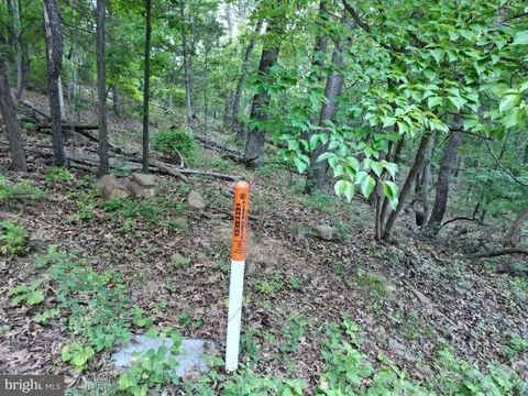 tbd Rolly Rd, Mount Jackson, VA 22842 photo 17