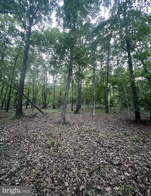 tbd Rolly Rd, Mount Jackson, VA 22842 photo 9