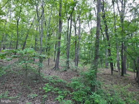 tbd Rolly Rd, Mount Jackson, VA 22842 photo 10