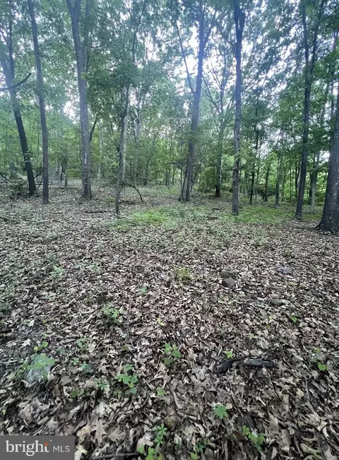 tbd Rolly Rd, Mount Jackson, VA 22842 photo 13