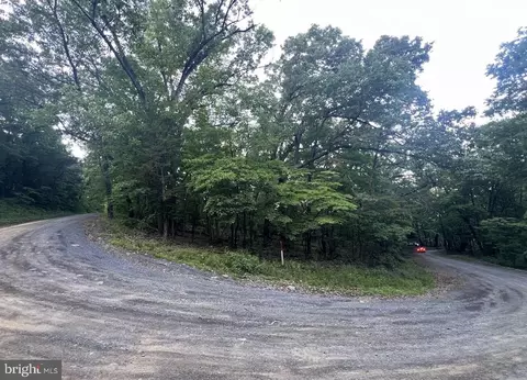 tbd Rolly Rd, Mount Jackson, VA 22842 photo 16