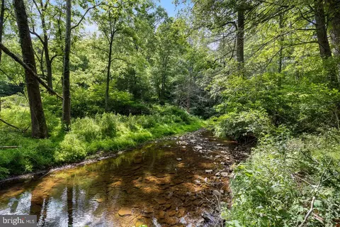 Other - 1499 Buggy Ridge Rd, Mount Jackson, VA 22842 photo 10 of 20