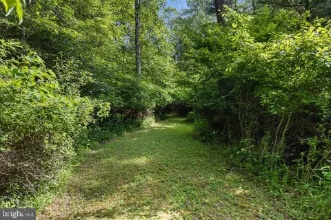 Other - 1499 Buggy Ridge Rd, Mount Jackson, VA 22842 photo 9 of 20