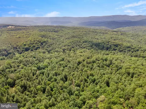 Other - 1499 Buggy Ridge Rd, Mount Jackson, VA 22842 photo 8 of 20