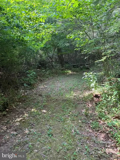 Other - 1499 Buggy Ridge Rd, Mount Jackson, VA 22842 photo 17 of 20