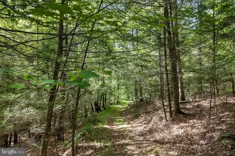 Other - 1499 Buggy Ridge Rd, Mount Jackson, VA 22842 photo 12 of 20