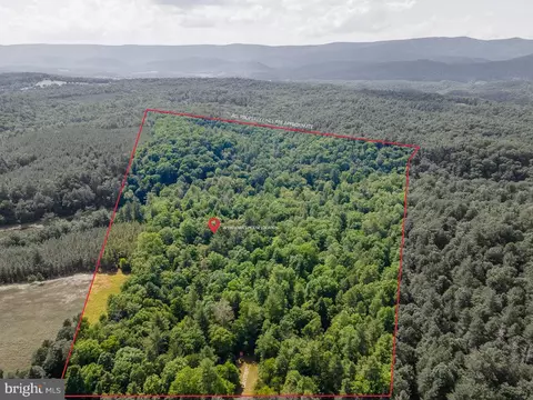 Other - 1499 Buggy Ridge Rd, Mount Jackson, VA 22842 photo 2 of 20