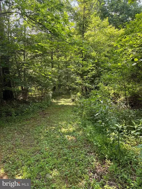 Other - 1499 Buggy Ridge Rd, Mount Jackson, VA 22842 photo 16 of 20