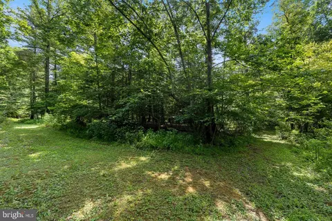 Exterior - 1499 Buggy Ridge Rd, Mount Jackson, VA 22842 photo 7 of 7