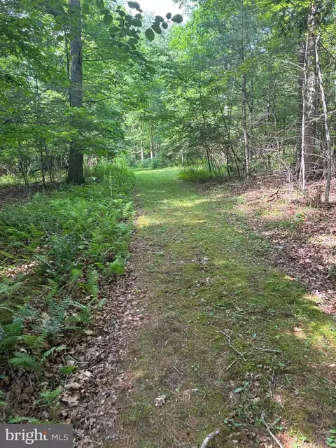 Other - 1499 Buggy Ridge Rd, Mount Jackson, VA 22842 photo 19 of 20