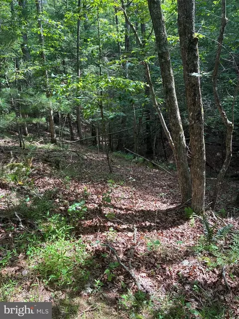 Other - 1499 Buggy Ridge Rd, Mount Jackson, VA 22842 photo 18 of 20