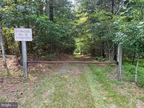Other - 1499 Buggy Ridge Rd, Mount Jackson, VA 22842 photo 14 of 20
