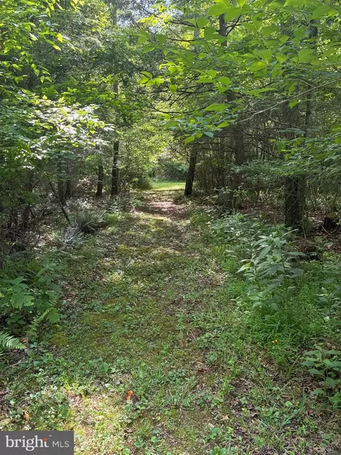 Other - 1499 Buggy Ridge Rd, Mount Jackson, VA 22842 photo 20 of 20