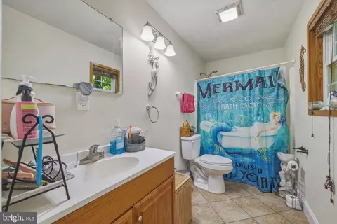 Bath - 272 Willow Ln, Mount Jackson, VA 22842 photo 1 of 1