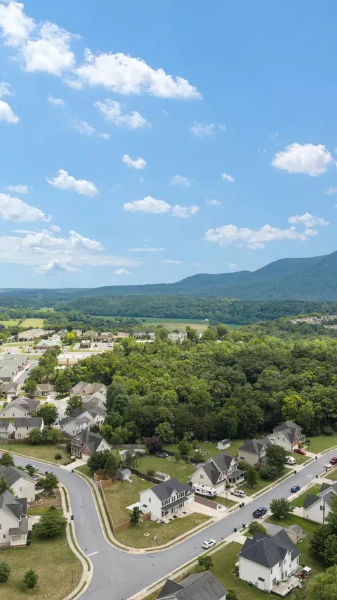 View/Area - 677 Dellinger Dr, Strasburg, VA 22657 photo 6 of 14