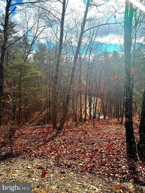 0 King St, Basye, VA 22810 photo 7